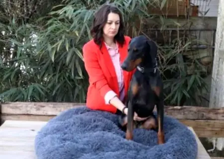 Bien être animal sur Le Mans